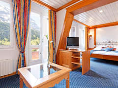 Zimmerbild 9