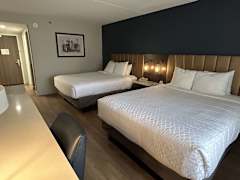 Zimmerbild 11