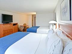 Zimmerbild 5