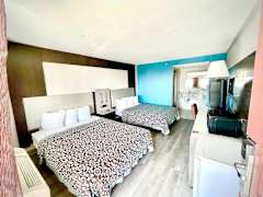 Zimmerbild 0