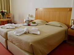 Zimmerbild 0