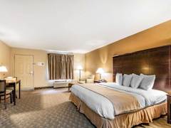 Zimmerbild 5