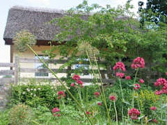 Zimmerbild 15