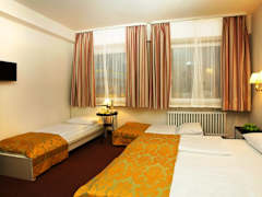 Zimmerbild 1