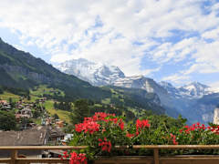 Zimmerbild 6