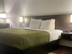 Zimmerbild 4