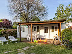 Zimmerbild 5