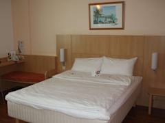 Zimmerbild 11