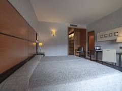 Zimmerbild 7