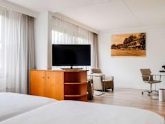 Zimmerbild 4