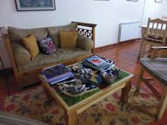 Zimmerbild 6