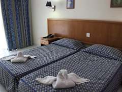 Zimmerbild 6