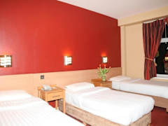 Zimmerbild 3