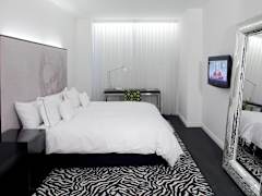 Zimmerbild 5