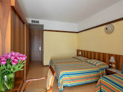 Zimmerbild 8