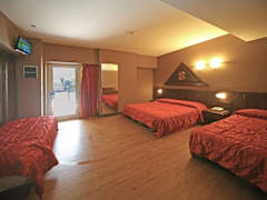 Zimmerbild 10