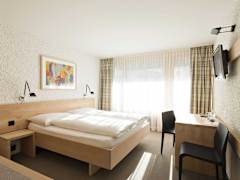 Zimmerbild 12