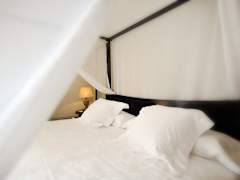 Zimmerbild 13
