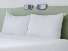 Zimmerbild 6