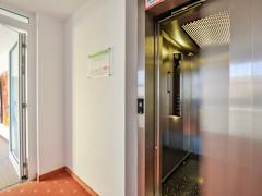 Zimmerbild 1