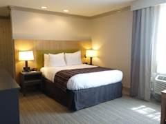 Zimmerbild 5