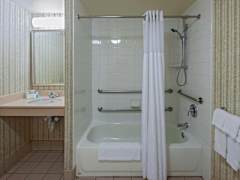 Zimmerbild 1