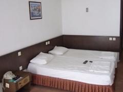 Zimmerbild 3