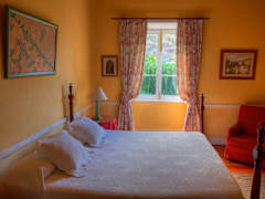 Zimmerbild 8