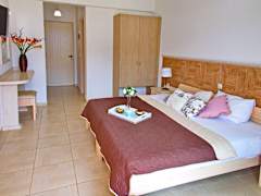 Zimmerbild 5