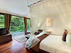 Zimmerbild 7