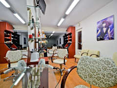 Zimmerbild 5