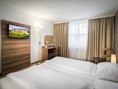 Zimmerbild 5