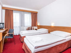 Zimmerbild 7