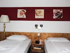 Zimmerbild 5