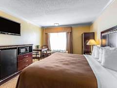 Zimmerbild 6