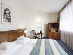 Zimmerbild 6