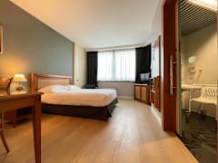 Zimmerbild 6