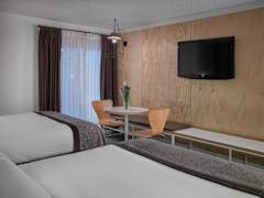 Zimmerbild 6