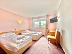 Zimmerbild 3