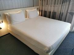 Zimmerbild 10