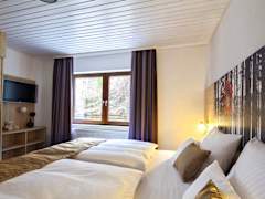 Zimmerbild 3
