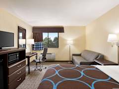 Zimmerbild 8