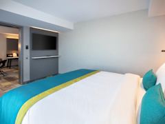 Zimmerbild 19