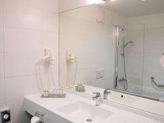 Zimmerbild 8