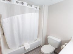 Zimmerbild 12