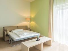 Zimmerbild 12