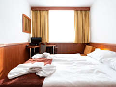 Zimmerbild 5