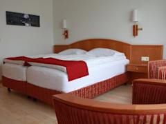 Zimmerbild 14