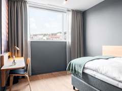 Zimmerbild 0