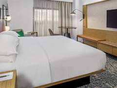 Zimmerbild 8